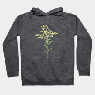 yellow early goldenrod watercolor painting Hoodie